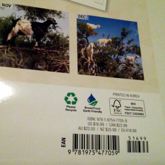 2025 Calendar, Goats in Trees, Monthly, 12" x 24" - Opened, Great Condition - Picture 15 of 15